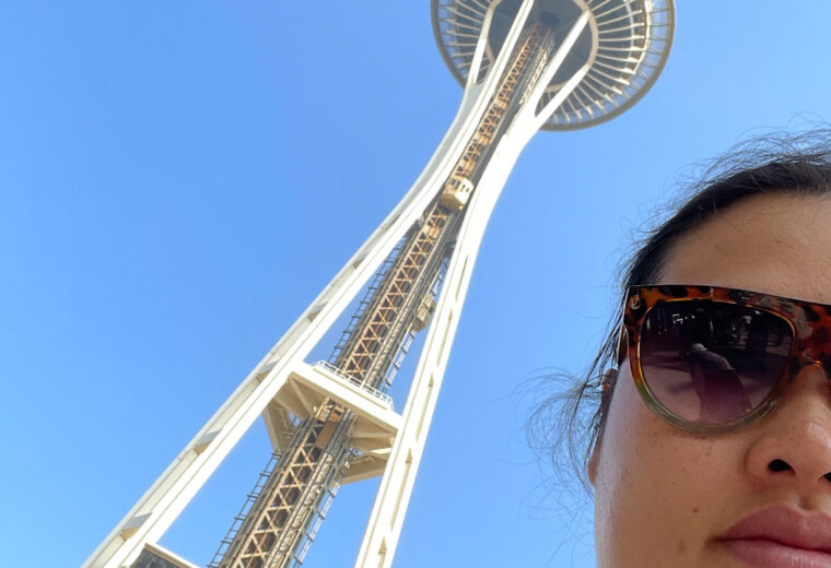 Seattle Needle Landmark Self